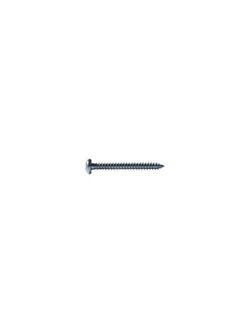 Tornillo Rosca 10 X 2" 100 Unidades