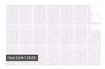 CERAMICA-20-X-30-CM-GEOS-CIRCLE-1-50-M2.jpg