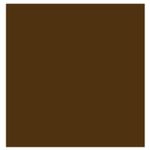 2-ESMALTE-CAFE-TRICO-LT.jpg