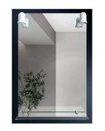 ESPEJO-60-X-90-CM-RECTANGULAR-CON-REPISA-2-FOCOS-TAUMM.jpg