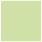 2-LATEX-FAST-ANTIHON-VRDE-PASTEL-GL-TRICO.jpg