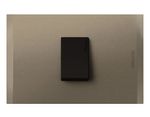 Interruptor-924-Simple-10A-250V-Terra-Nobile.jpg