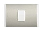 INTERRUPTOR-9-24-10A-BLANCO-PL1P-METAL-ALUMINIO-AF2101EBMN.jpg