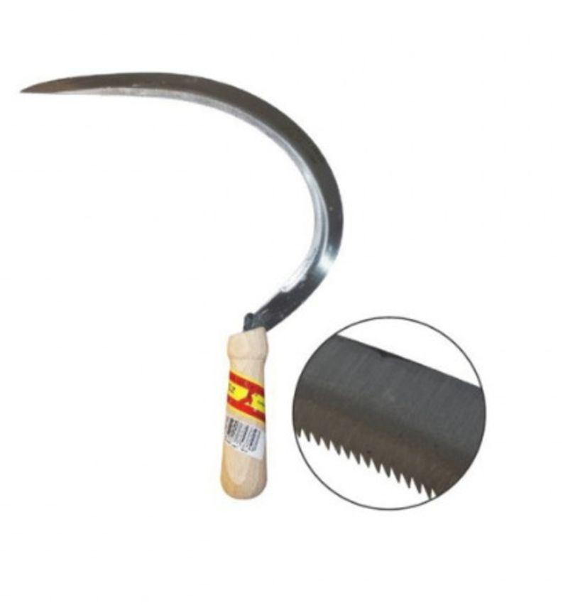 Echona-Dent-1008-N-1-La-Pajarita.jpg