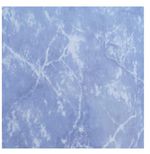 CERAMICA-20-X-30-CM-GEOS-AZUL-1-50-M2.jpg