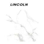 PANEL-SPC-LINCOLN-1-22-X-2-44-MT-ESPESOR-3MM.jpg