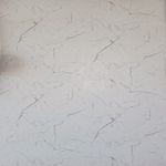 PANEL-SPC-STARLIGHT-1-22-X-2-44-MT-ESPESOR-3MM.jpg