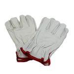 pack_10_guantes_cabritilla_largos_t9_3