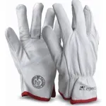 Pack-12-Guantes-Cabritilla-Corto-Sin-Forro-1