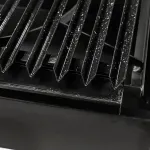 Parrilla Lican Alcazar 6