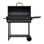 Parrilla Maipo Alcazar 1