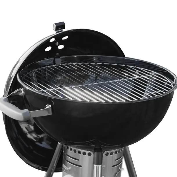 Asador-Rapel-Alcazar-3